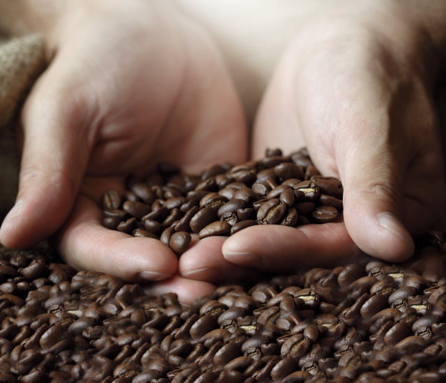 JJDarboven Verantwortung Nachhaltigkeit Kaffeebohnen 
