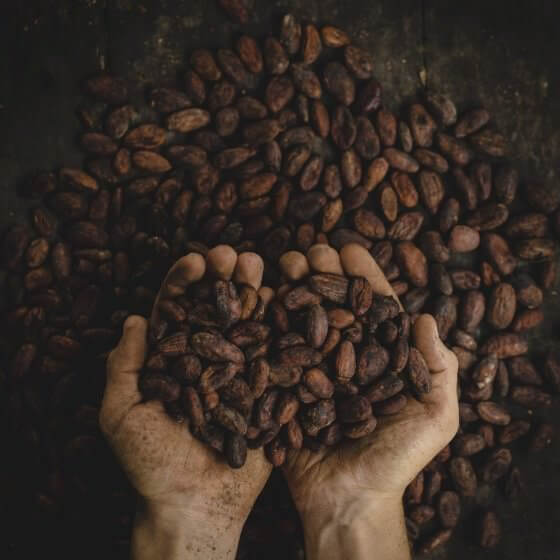 Darbove cacao beans